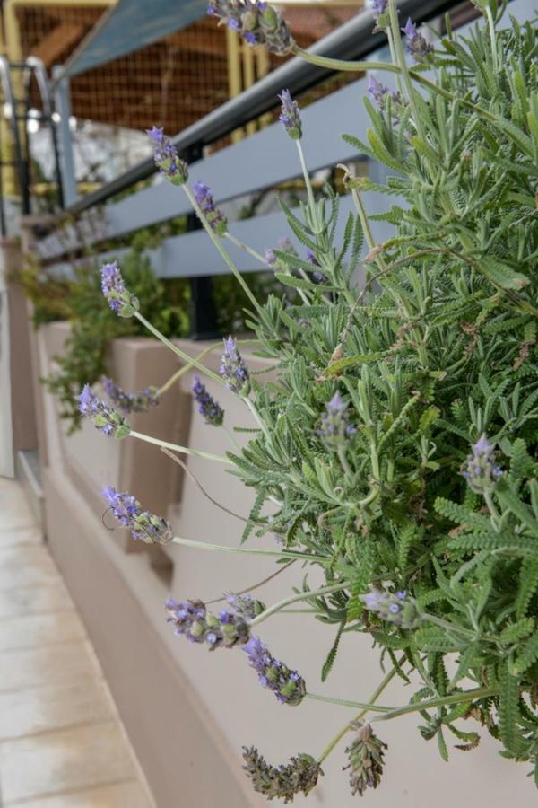 Aromatic Home 키사모스 외부 사진